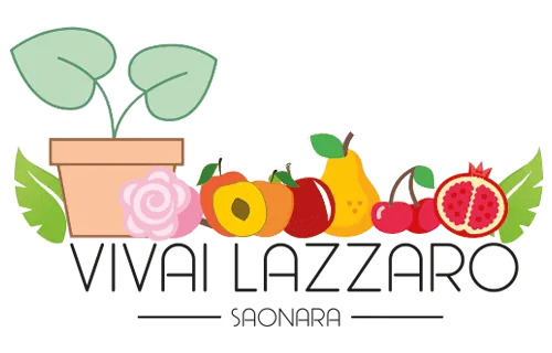 Vivai Lazzaro